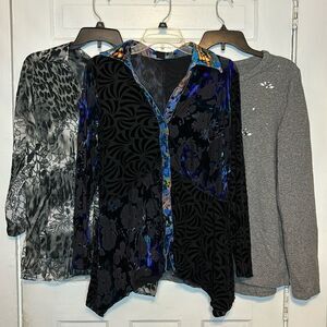 Bundle of 3 Assorted Women’s Longsleeve Tops blouse sweatshirt size large